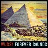 Sonic Youth と The Band の溝を埋めるアメリカのオルタナバンド, WUSSY が新作『Forever Sounds』をリリース