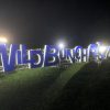 WILD BUNCH FEST. 2019 2 日目レポート: 洋楽フェス好きが体験した, 初めての地方邦楽フェス