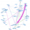 楽曲のネットワーク分析: 音楽と離散数学
